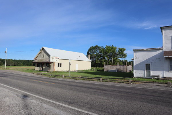 Alicia - June 2021 (newer photo)